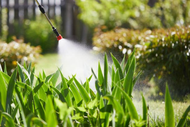 Tamper-Resistant Bait Stations for Rodents in Cameron