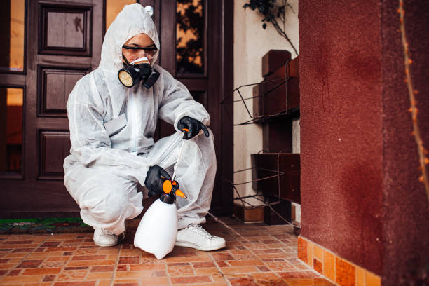 Attic and Crawl Space Rodent Treatment in Cameron